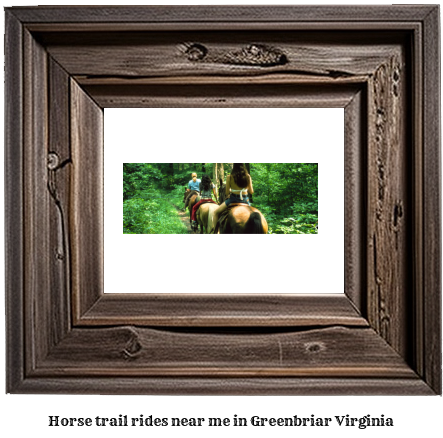 horse trail rides near me in Greenbriar, Virginia